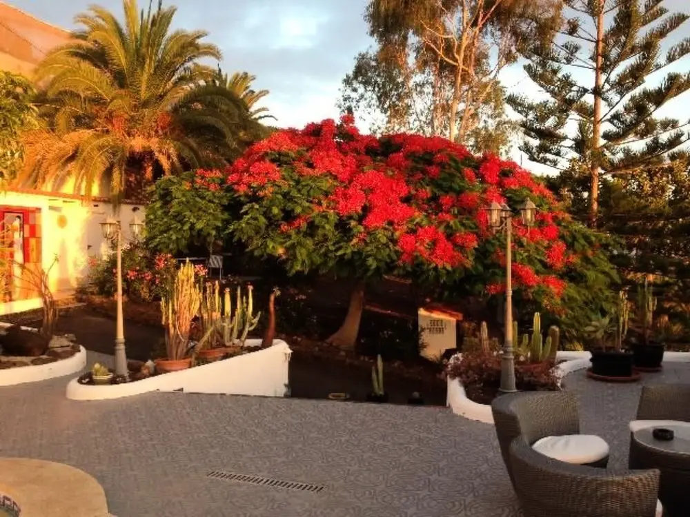Résidence Alcala Casa PAD