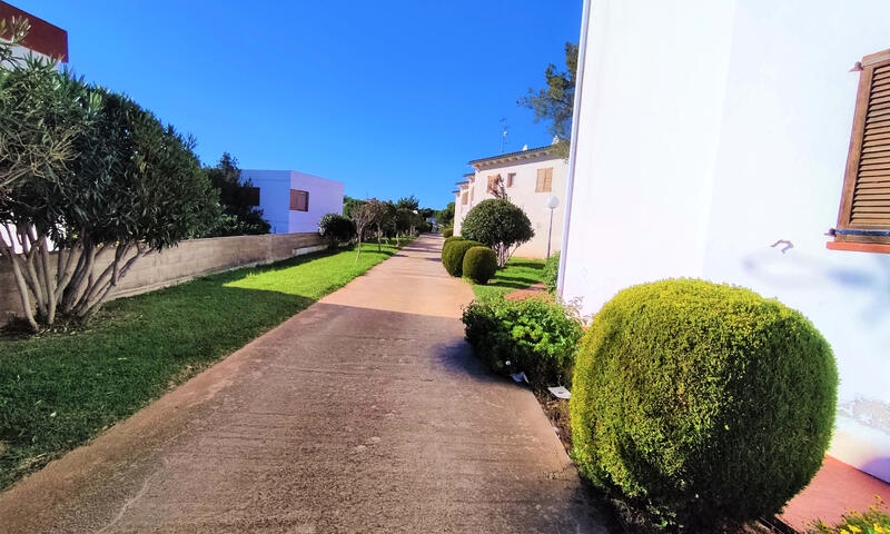 Appartements à Alcossebre - - Alcossebre - 5
