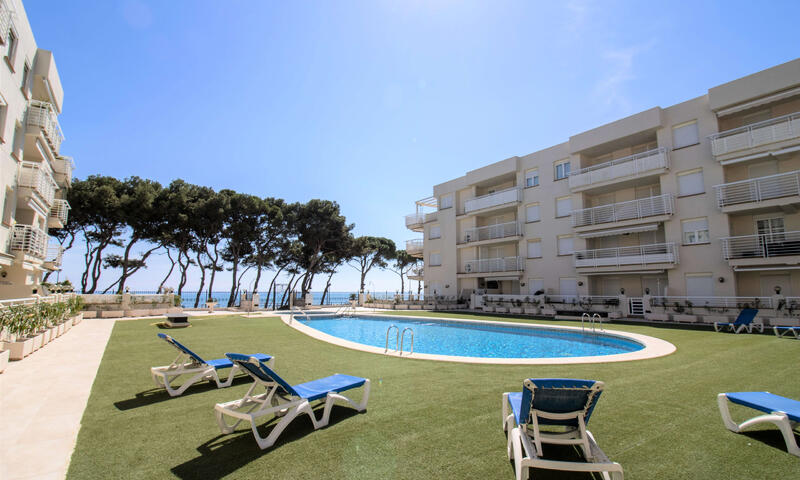 Appartements à Alcossebre - - Alcossebre - 1