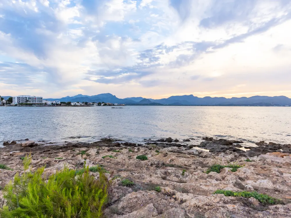 Maison à Alcúdia - Port d'Alcúdia