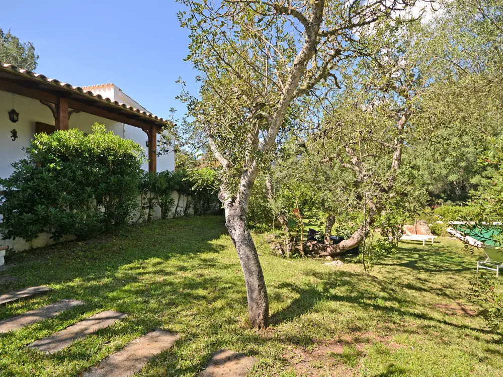 Maison de Vacances Alcúdia