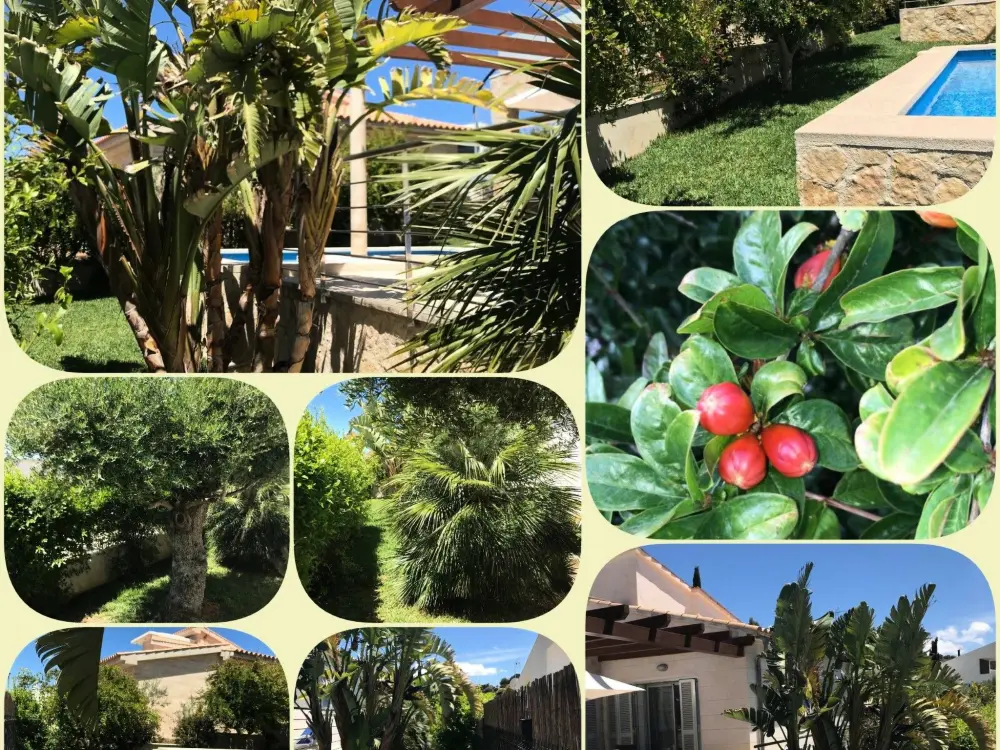 Maison de Vacances Alcúdia
