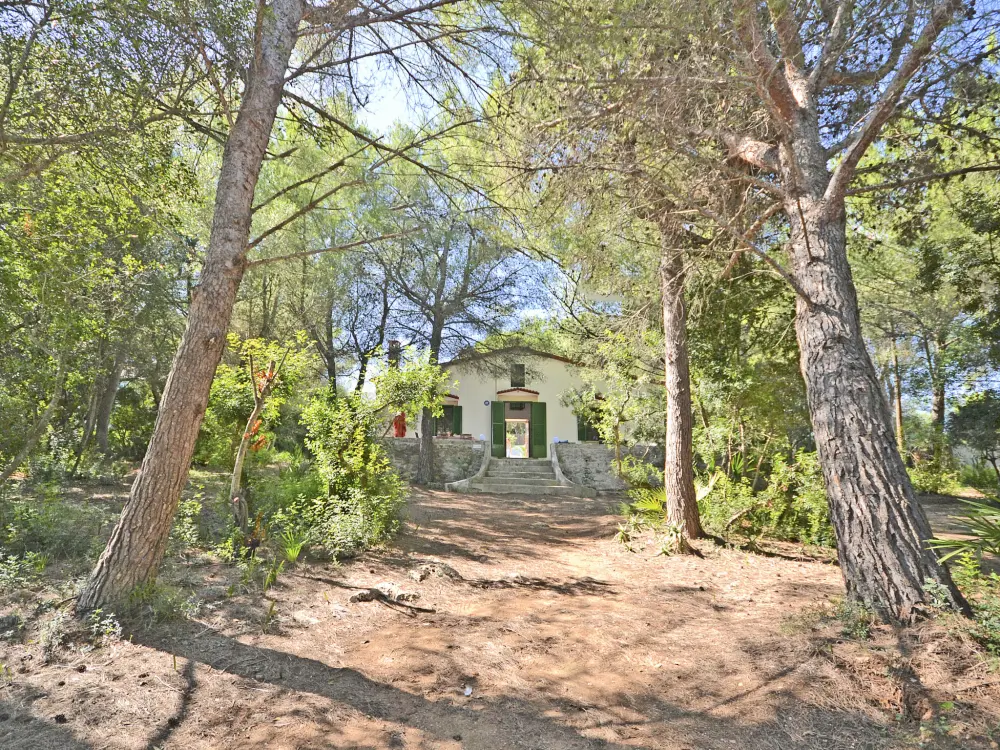Maison de Vacances Alcúdia
