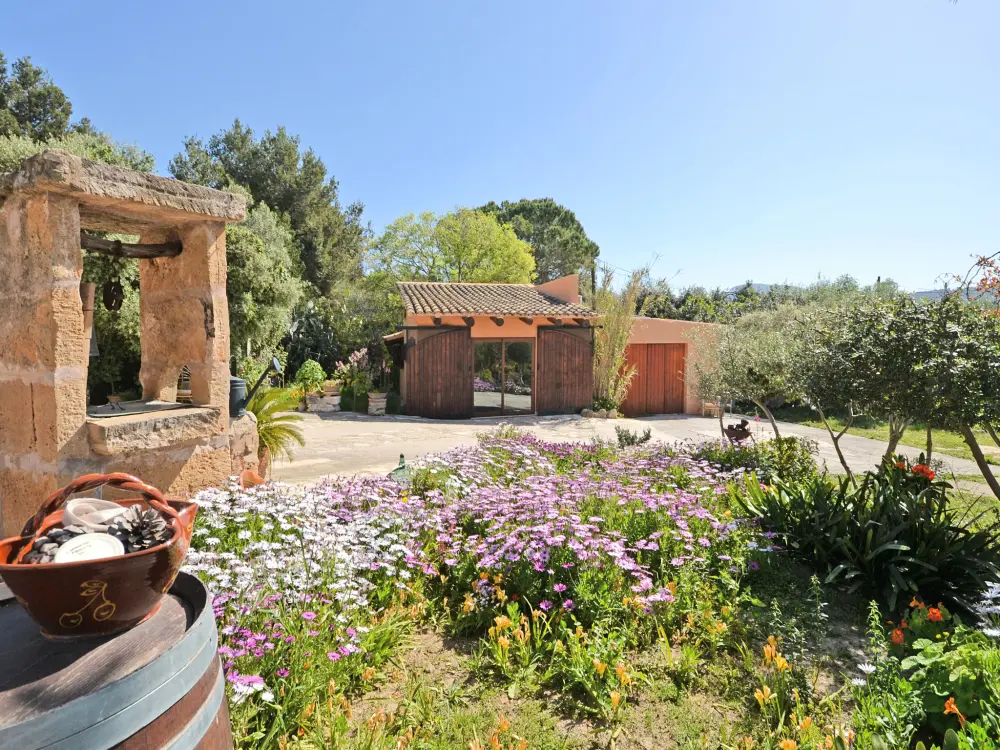 Maison de Vacances Alcúdia