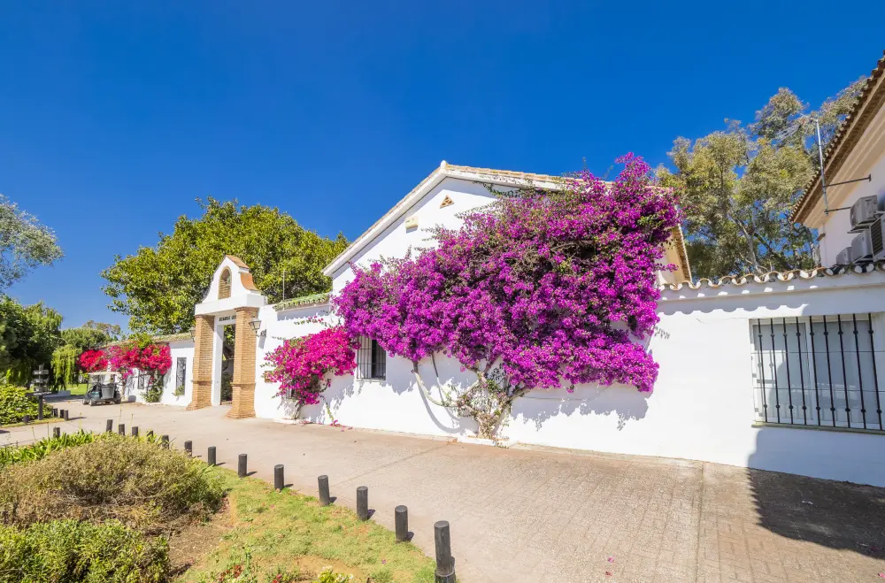 Maison à Alhaurín de la Torre