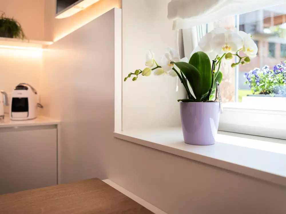 Maison de Vacances Alpago