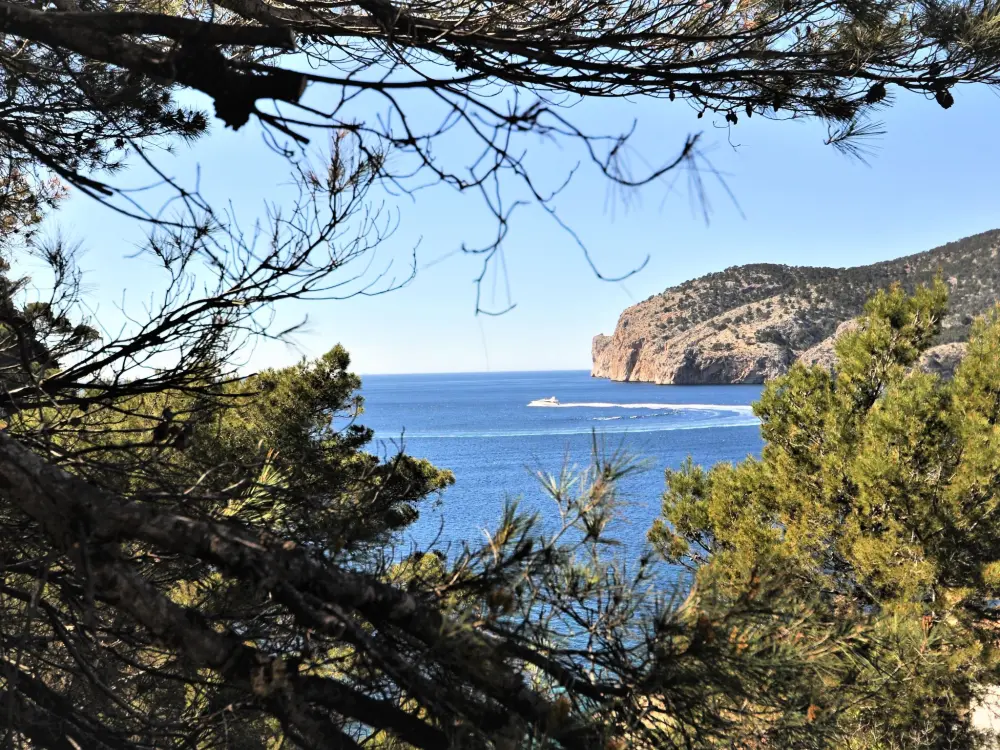 Maison de Vacances Andratx