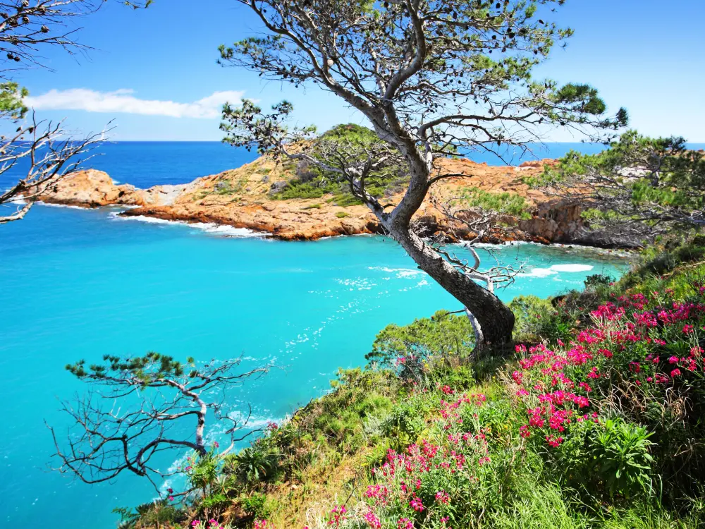 Résidence Sa Riera Beach