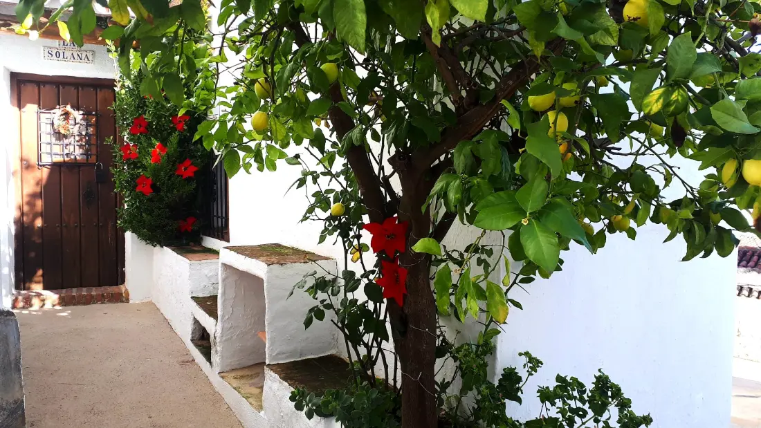 Maison à Benadalid