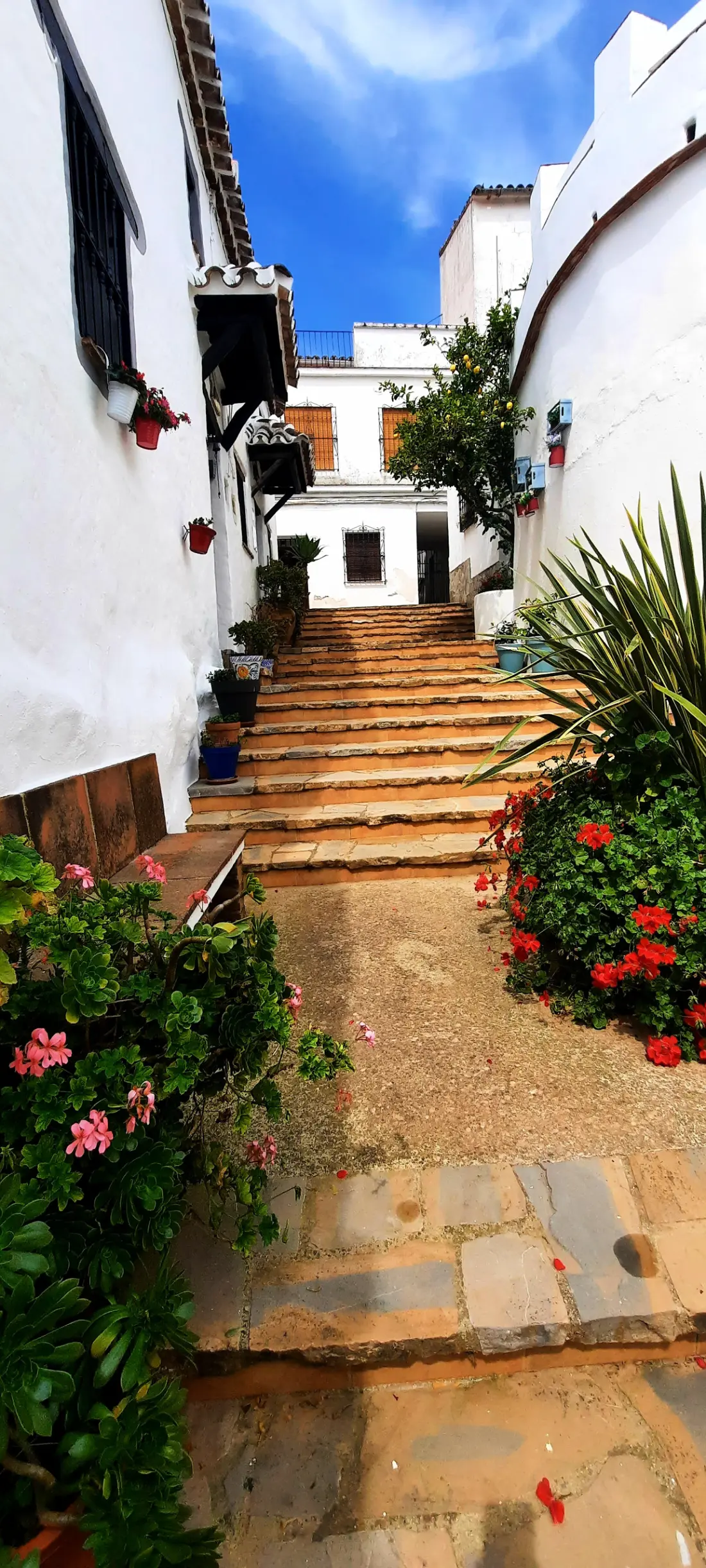 Maison à Benadalid