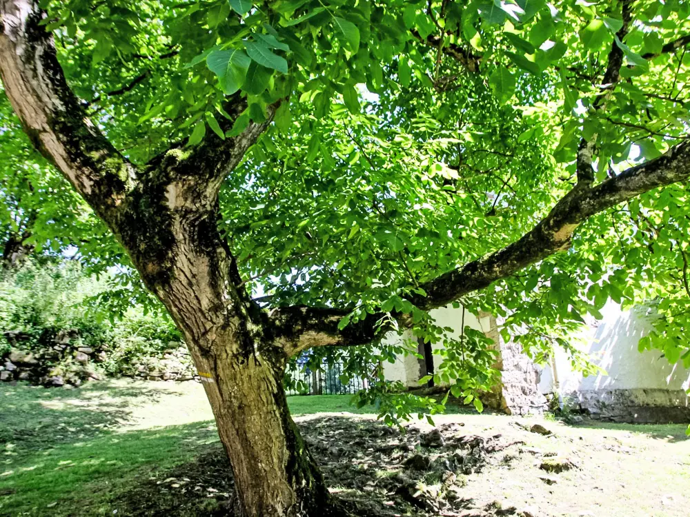 Maison de Vacances Bera