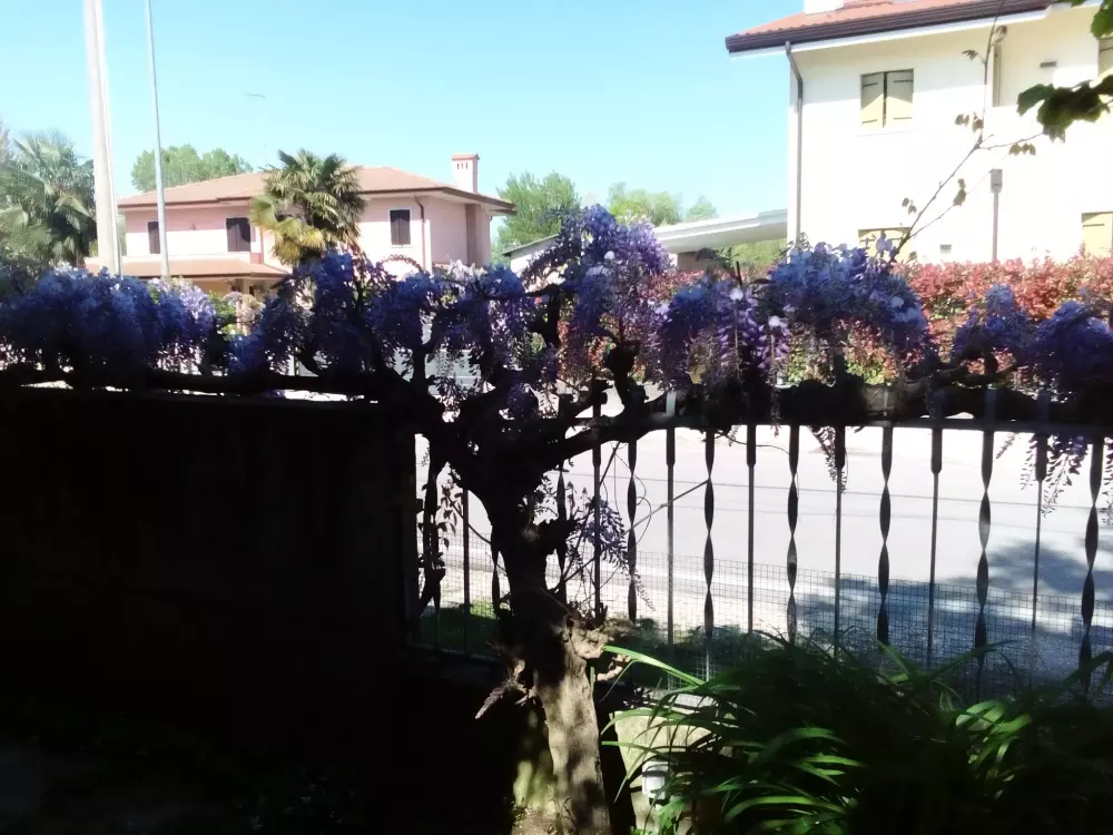 Résidence auf einem ummauerten Grundstück