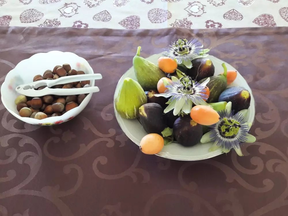 Résidence auf einem ummauerten Grundstück