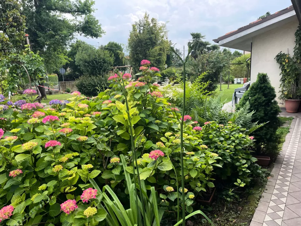 Résidence 'Casa della Nonna Rooms