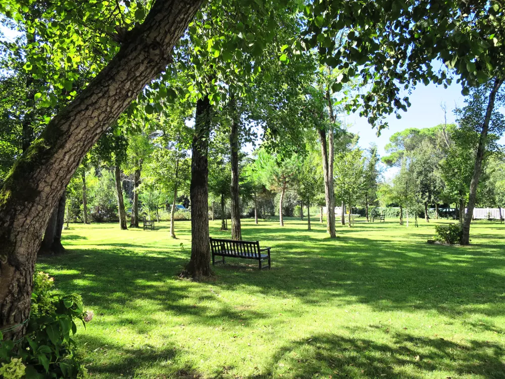 Résidence Residence Pinewood