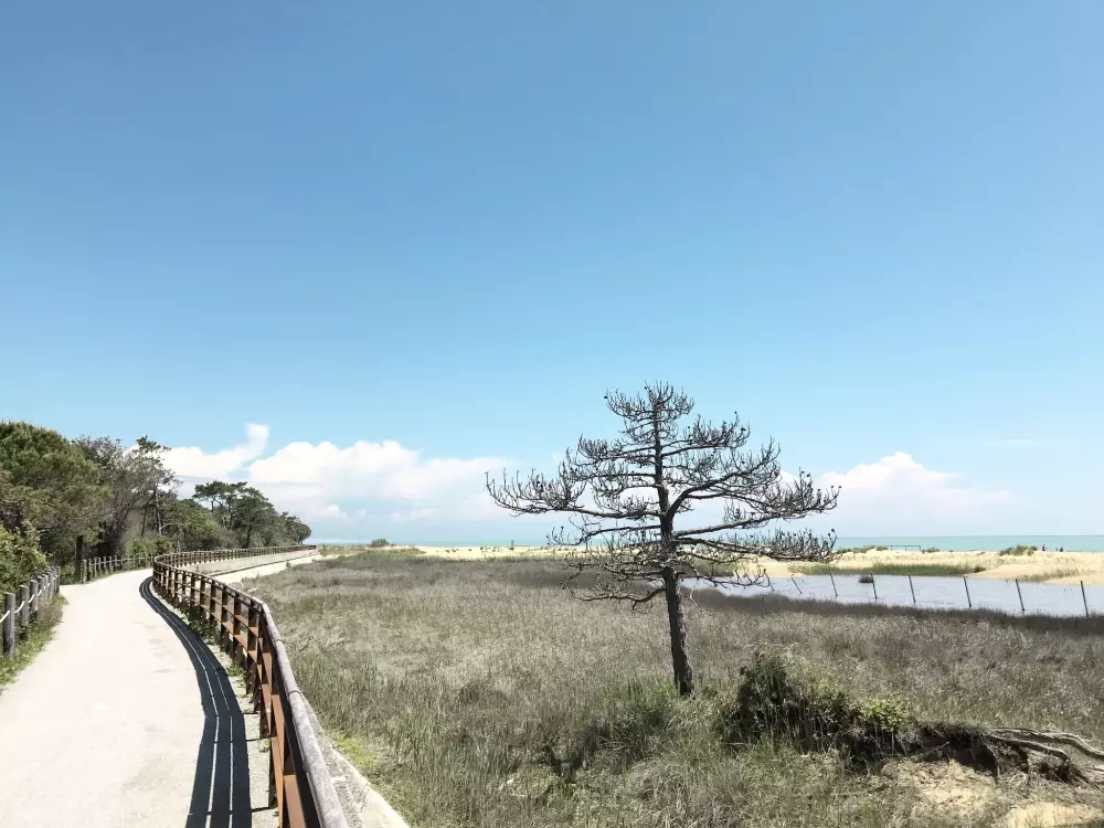 Résidence Wohnung 'Kompass B' in Strandnähe