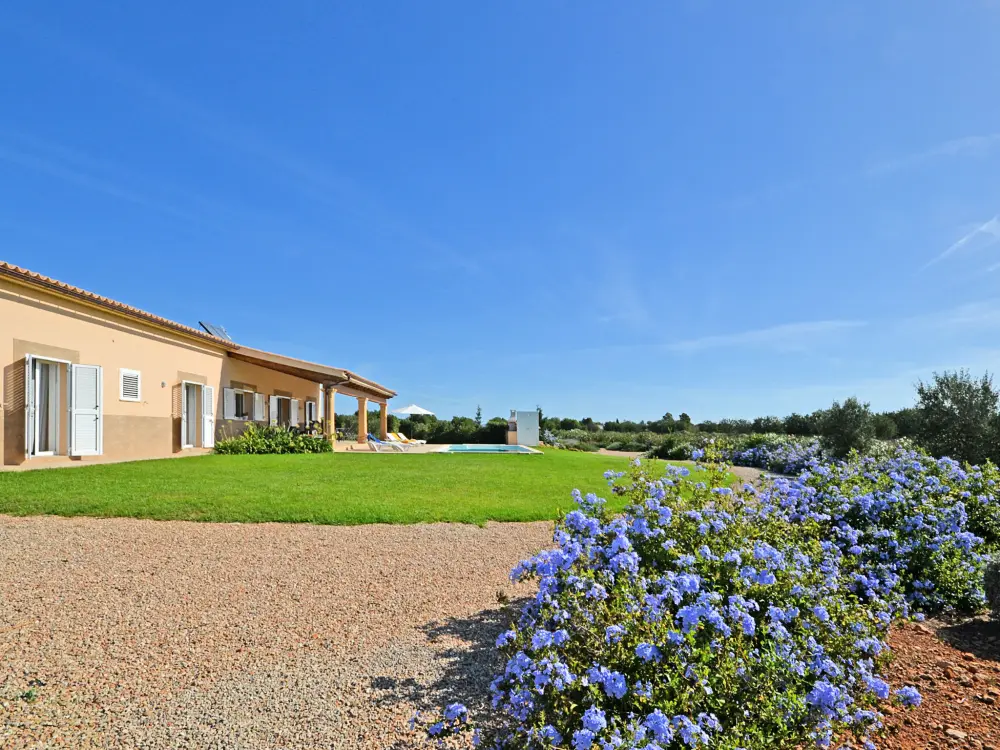 Maison de Vacances Binissalem