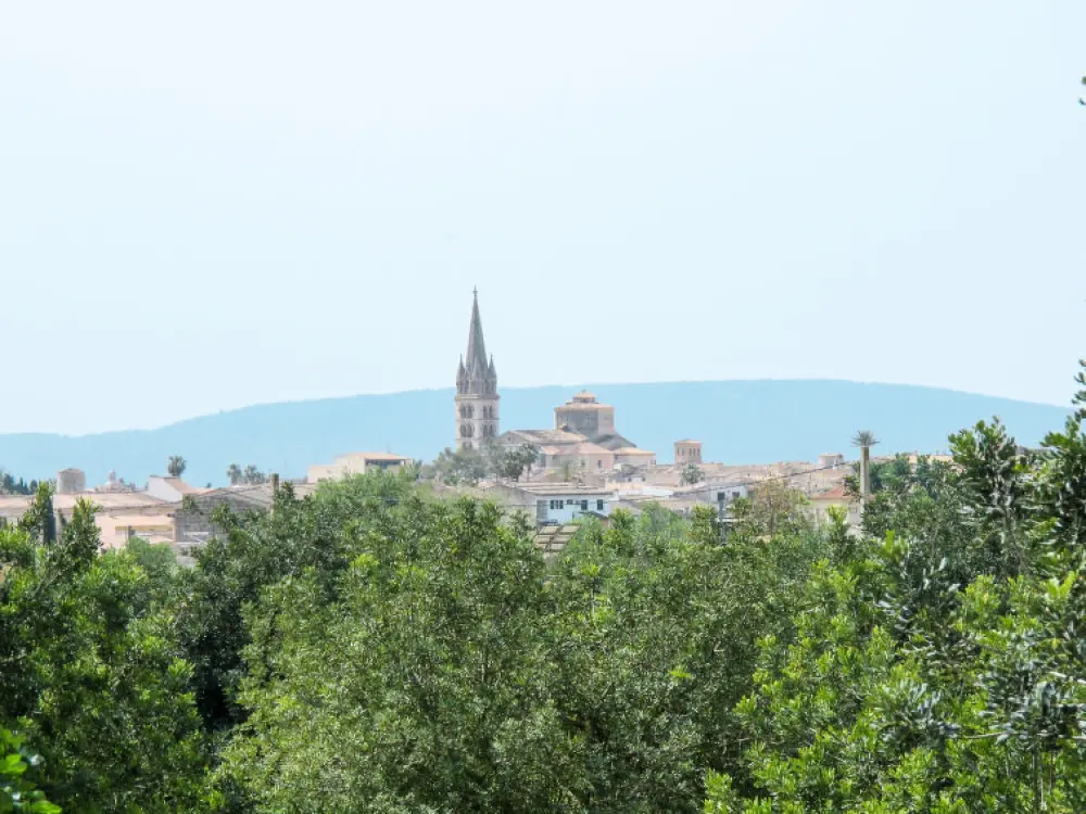 Maison de Vacances Binissalem