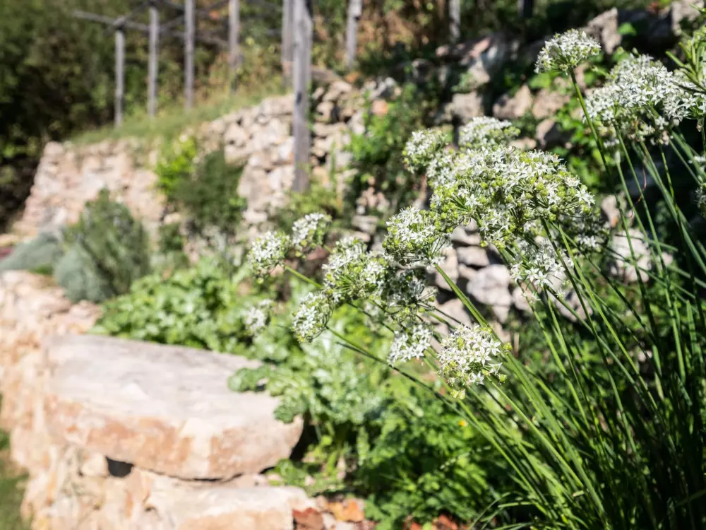 Maison de Vacances Brenzone