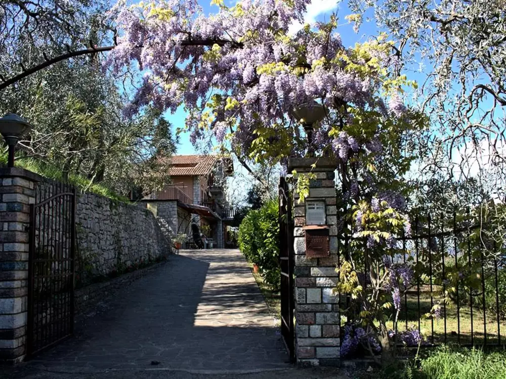 Résidence Wohnung mit schönem Garten