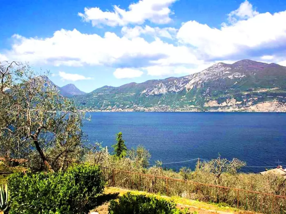 Résidence Wohnung mit schönem Garten