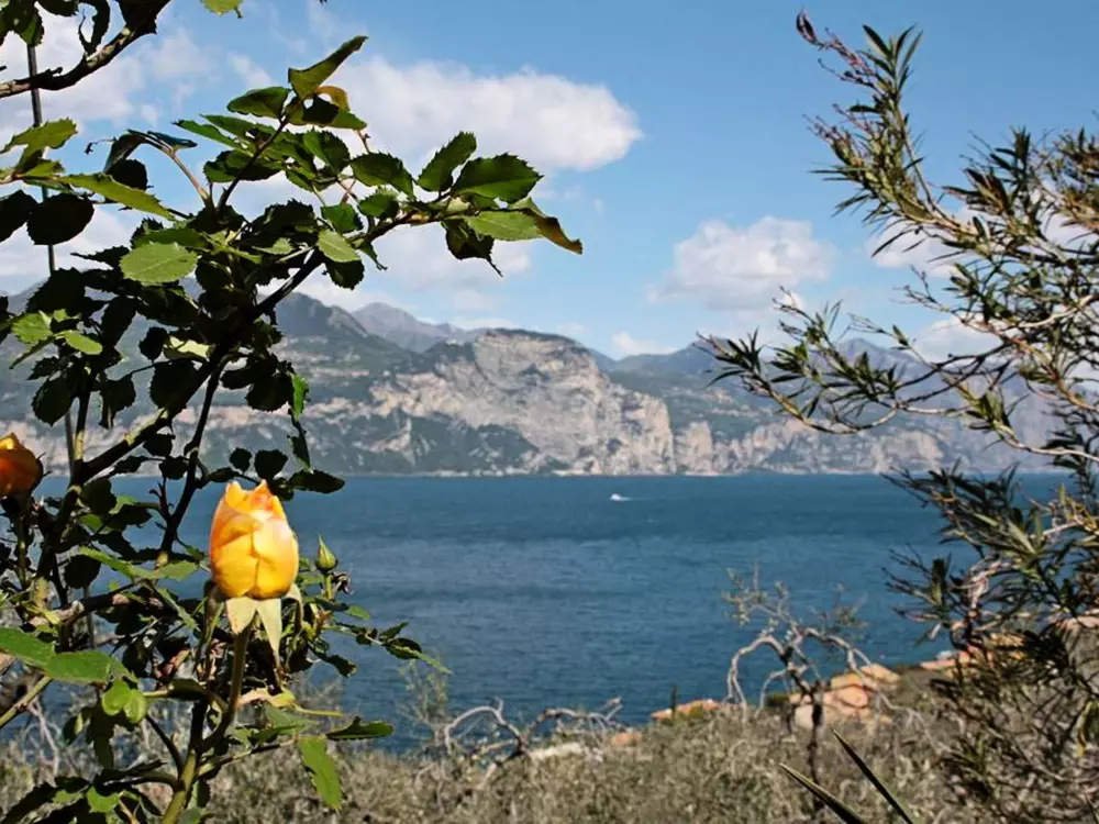Résidence Wohnung mit schönem Garten