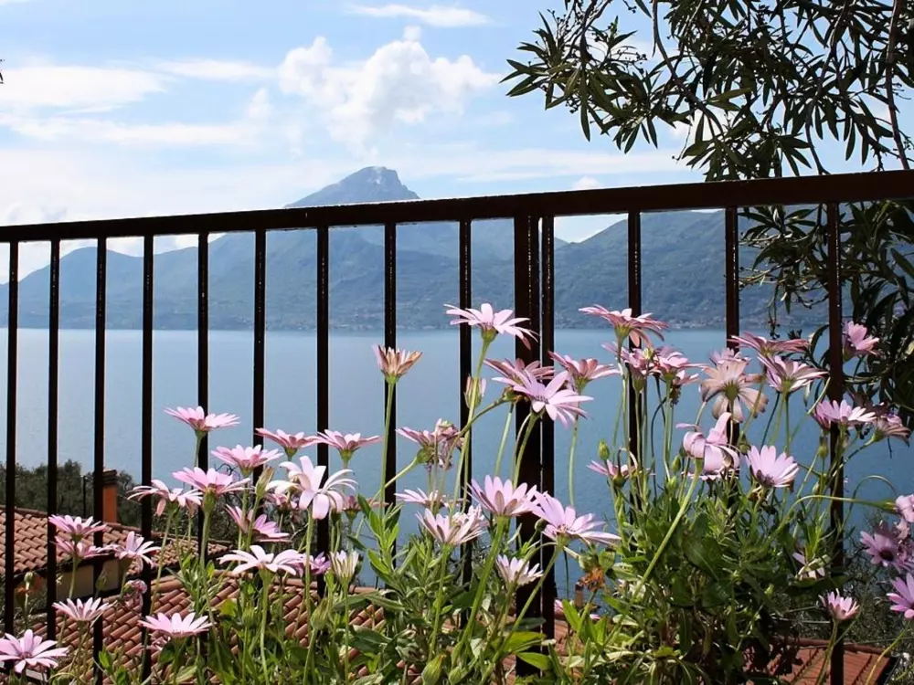 Résidence Wohnung mit schönem Garten