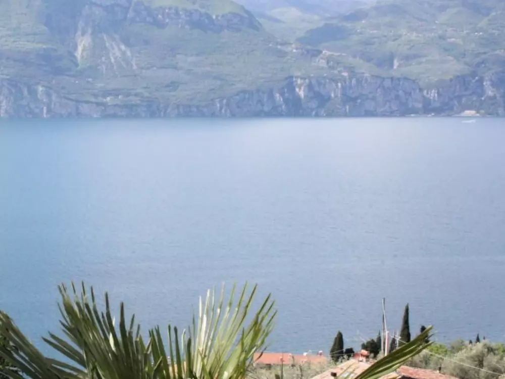 Résidence Wohnung mit schönem Garten