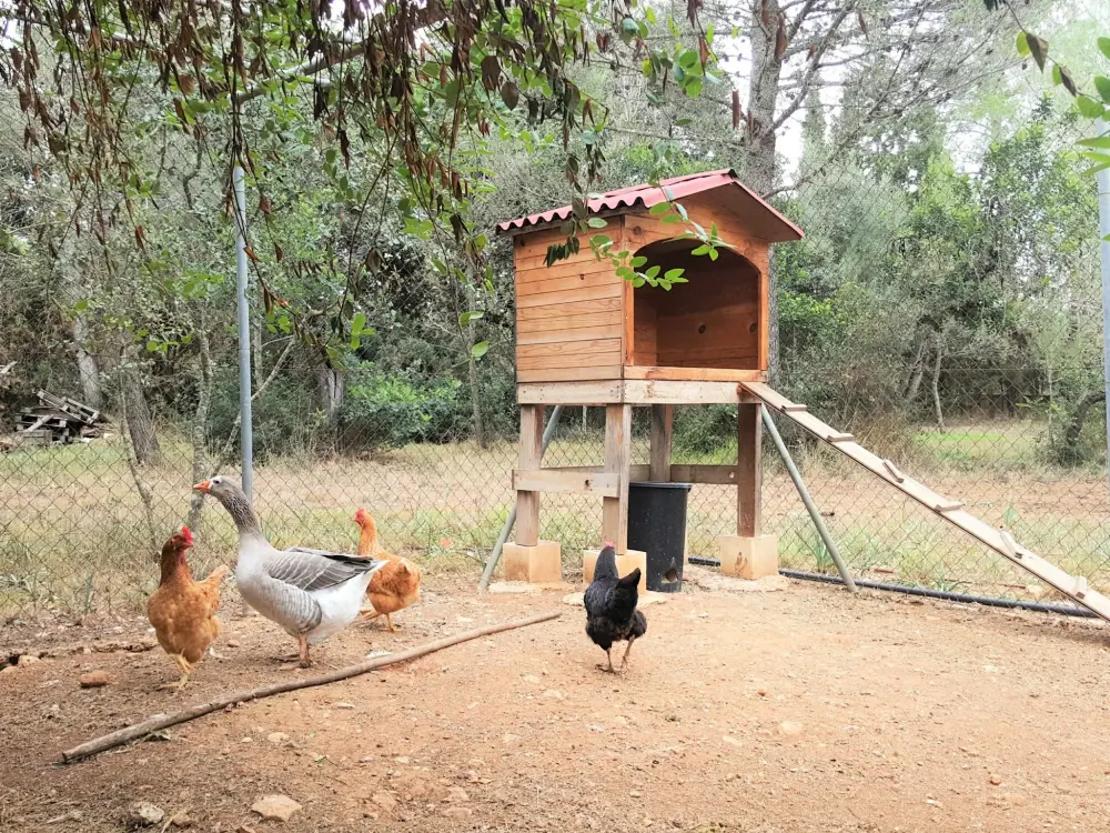Maison de Vacances Bunyola