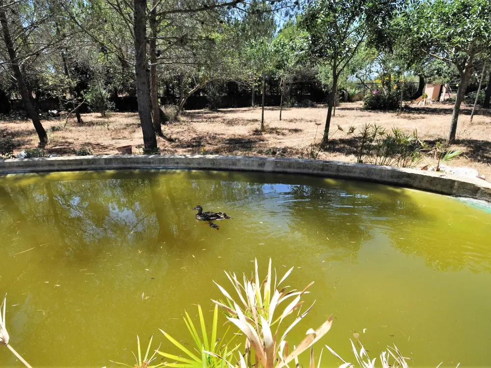 Maison de Vacances Bunyola