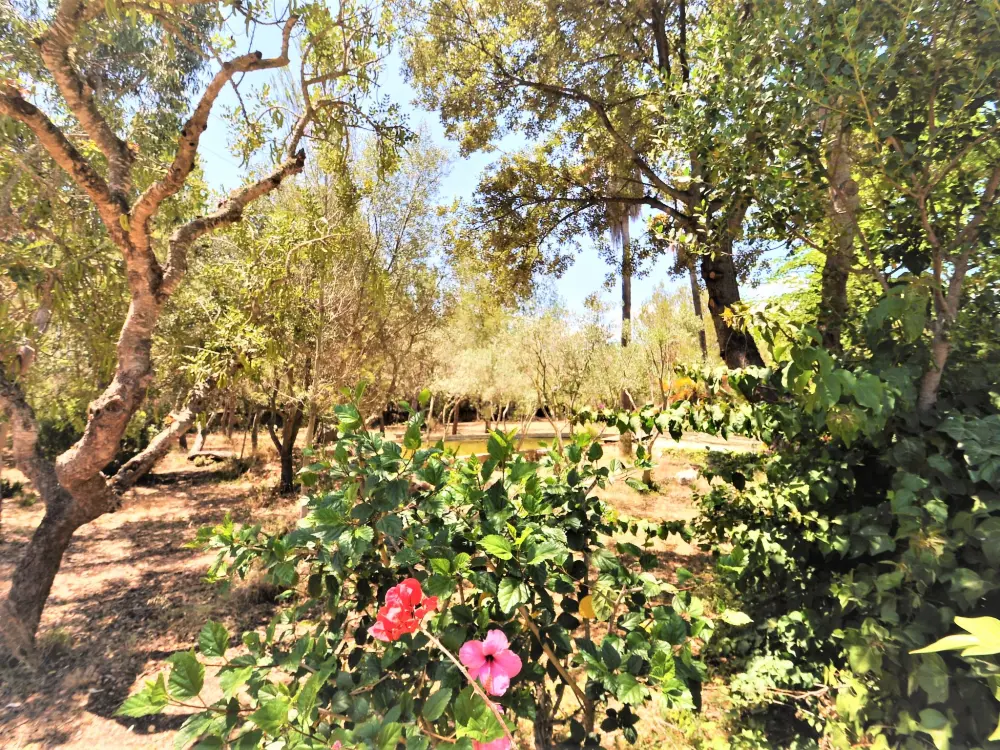 Maison de Vacances Bunyola