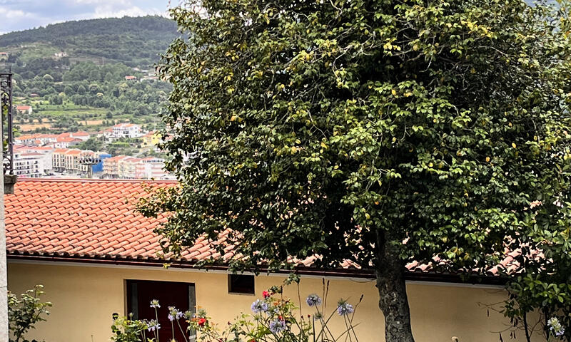 Maison à Cabeceiras de Basto - - Cabeceiras de Basto - 7