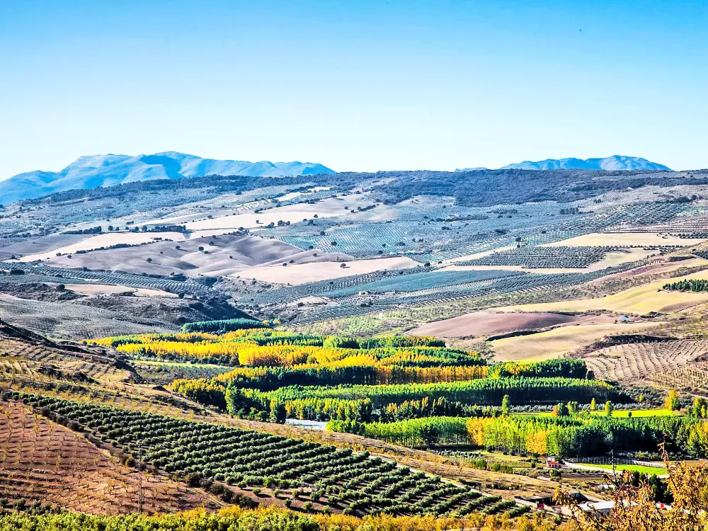 Maison de Vacances Granada/Cacín