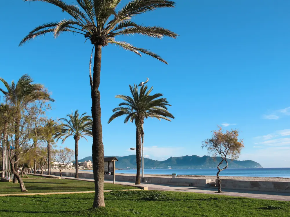 Résidence Mafloras Luxus und Strand Appartement