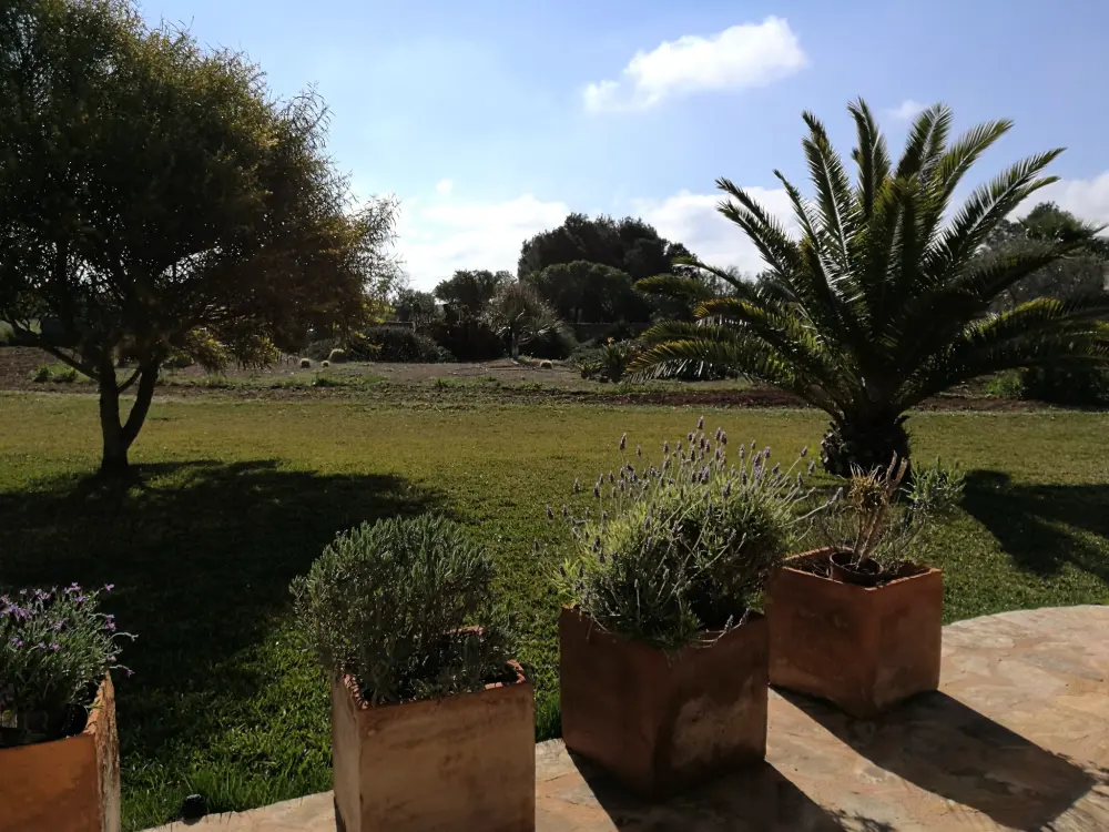 Maison de Vacances Cala Pi