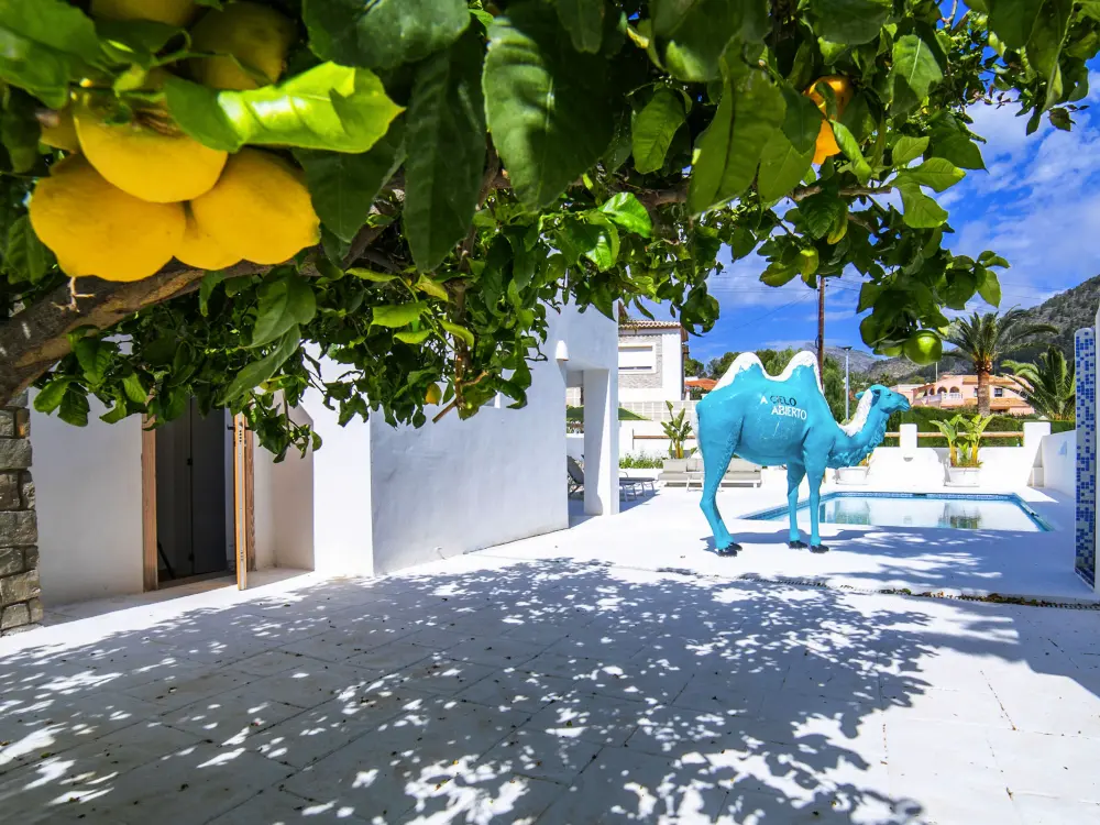 Maison de Vacances Calpe/Calp