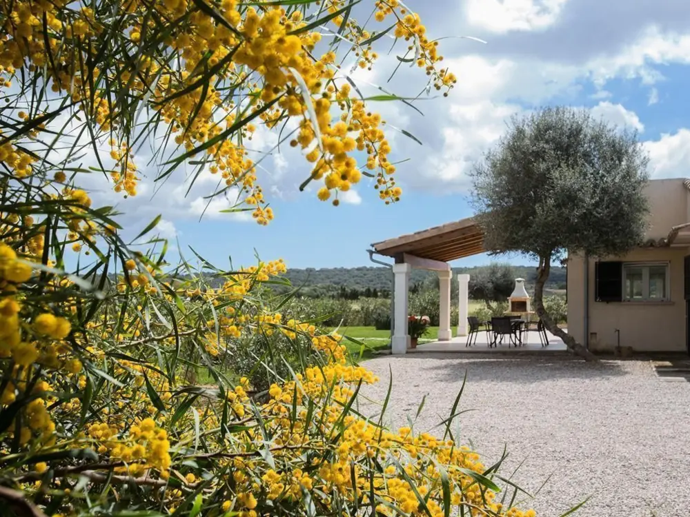 Maison de Vacances Campos
