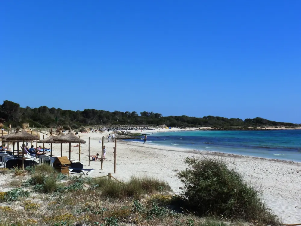 Maison de Vacances Campos