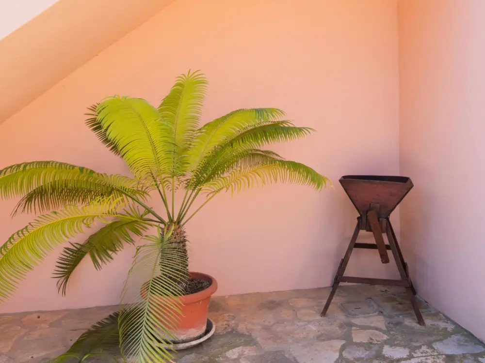 Maison de Vacances Campos