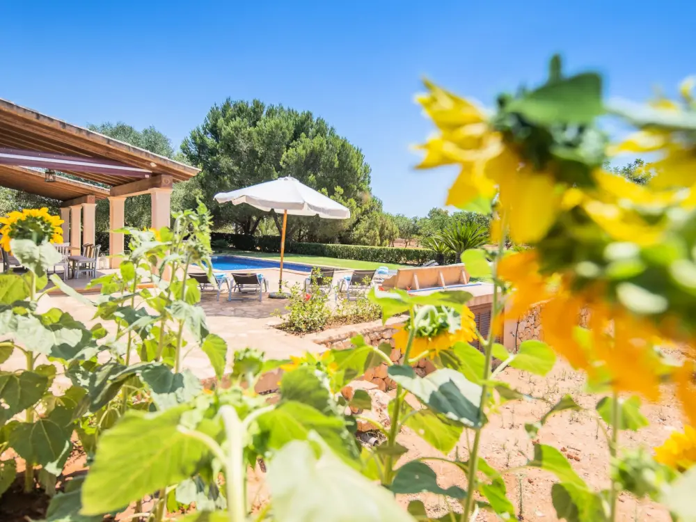 Maison de Vacances Campos