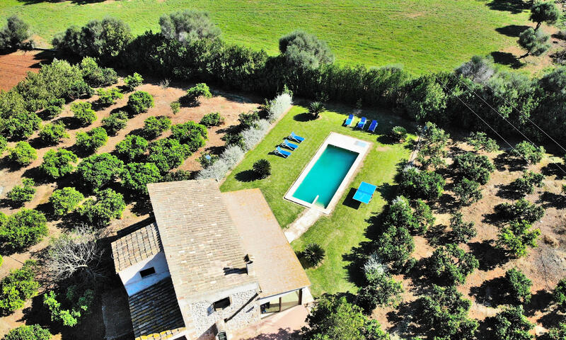 Maison à Muro - - Muro - 24