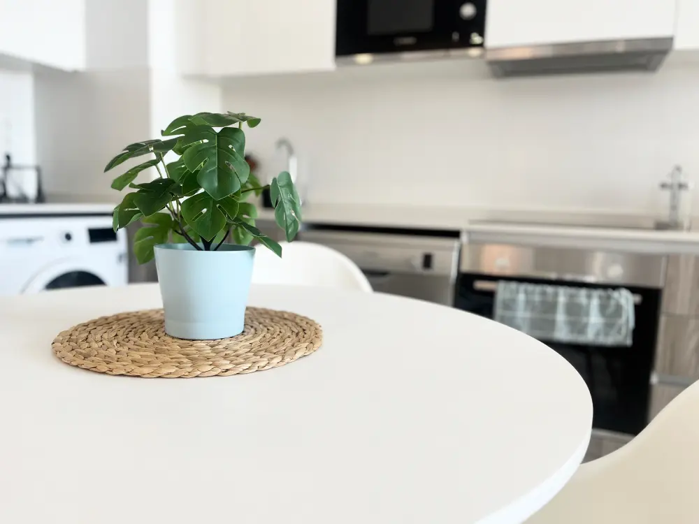 Appartements à Canet d'En Berenguer