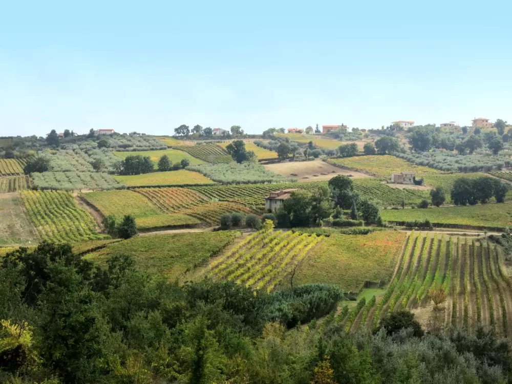 Maison de Vacances Casalbordino