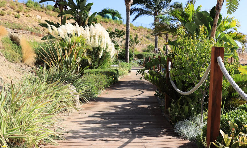 Appartements à Casares - - Casares - 20