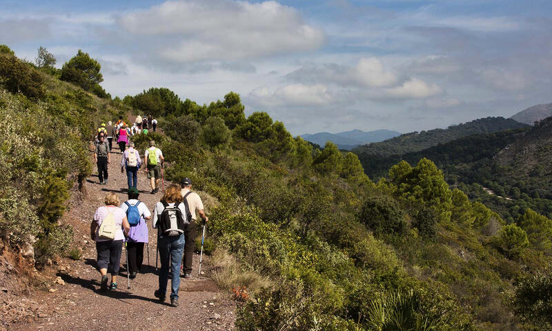 Appartements à Casares - - Casares - 32