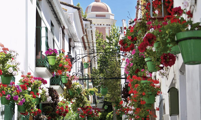Appartements à Casares - - Casares - 43