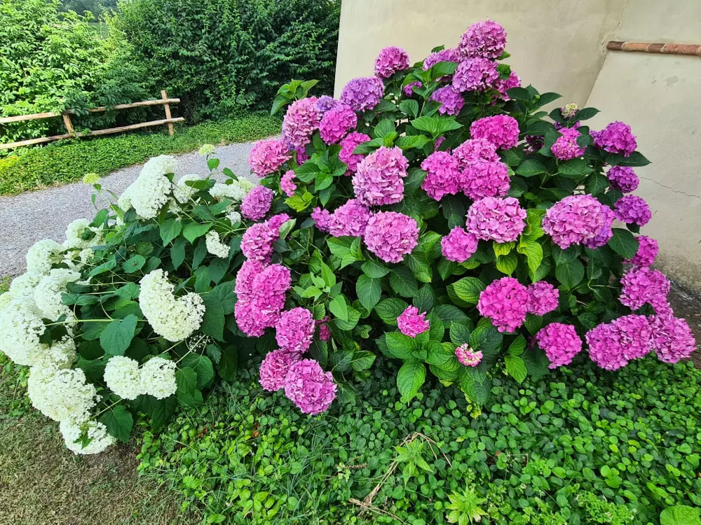 Résidence di Magnano