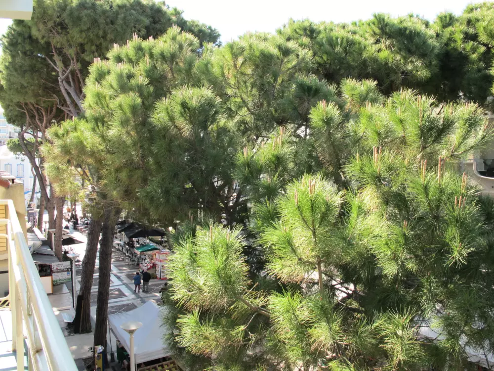 Résidence Bellavista