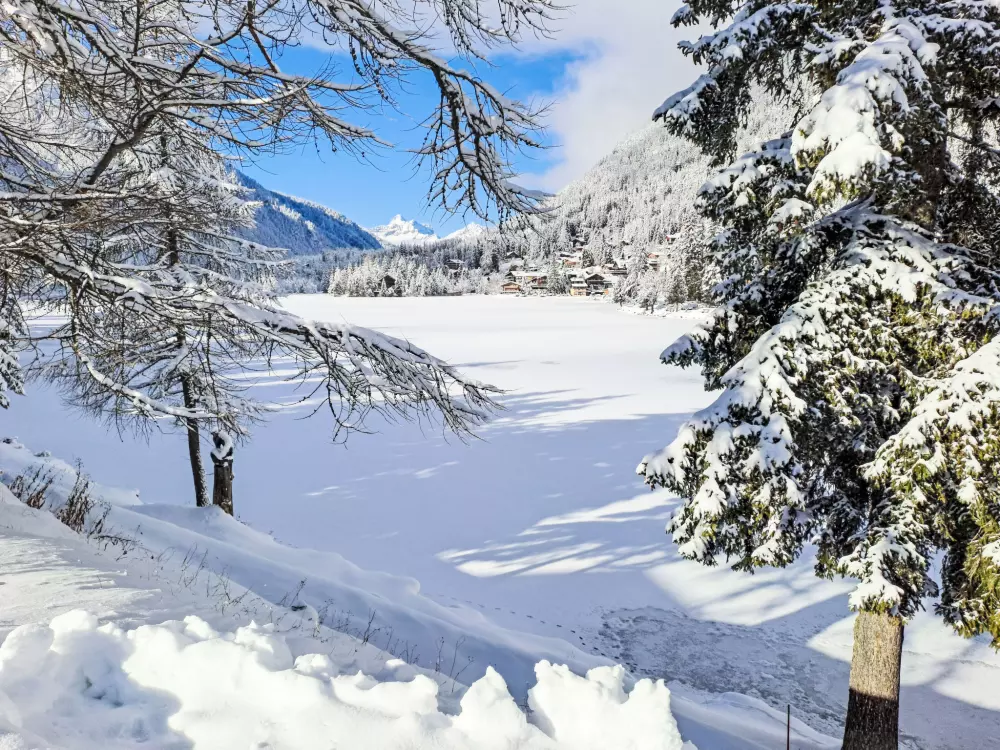 Résidence Renaissance 8