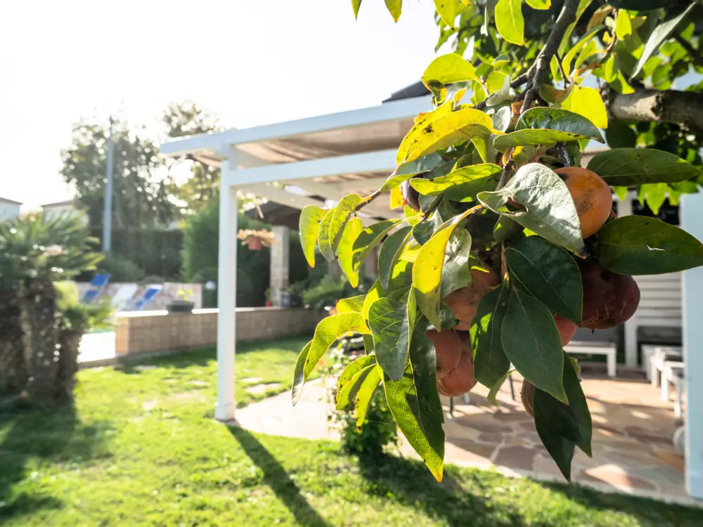 Maison de Vacances Città Sant'Angelo